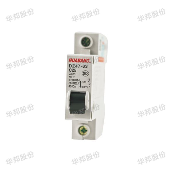 DZ47-63 / DZ47-100 high grade break microcircuit breaker (air switch)